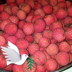 Meet your Posher, Sun